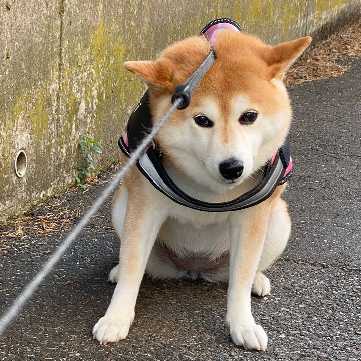 49284c35 5620 4f53 8c7b fa752c2a5550 1656519346094