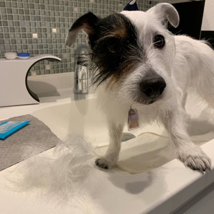 49284c57 c068 411e 9ed1 32ccefea80bf 1650329029877