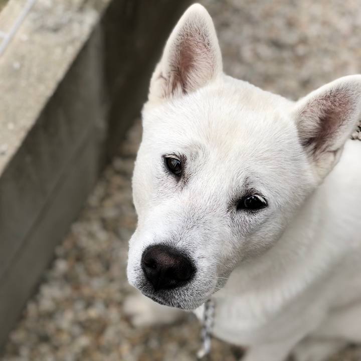 49287ef9 e806 4e02 8d6e 73f174128cc5 1522908787225