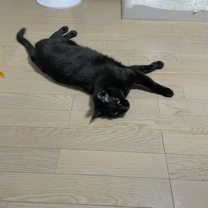 492887de 3bce 4c25 8c42 9f9d36235dc5 1720959091497