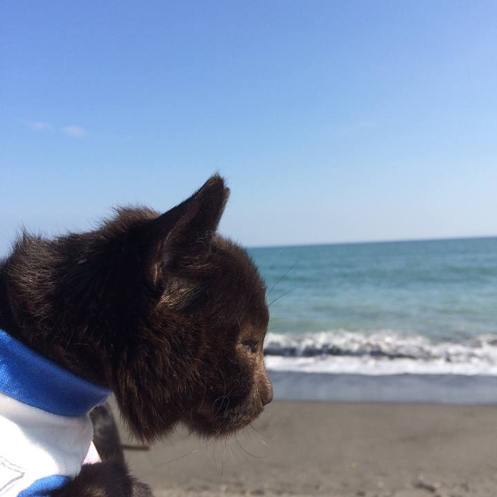 4928b980 26d5 4a31 9ffd 900fd80dd5d1 1510550600059