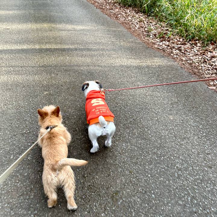 4928e2fa 06d0 4e71 b045 16eccef8941e 1707659765996