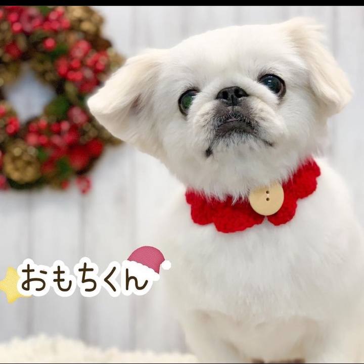 4928ead3 d919 41eb a4fd ddc9a36e013b 1670071644697