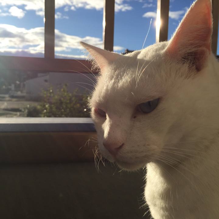 4928f085 d0b8 4b9c a94b 724dde116ac0 1570917861131