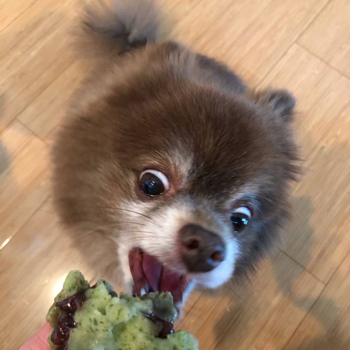 4928fbb4 766b 412f a6a3 75b1dd7942f6 1618713289558