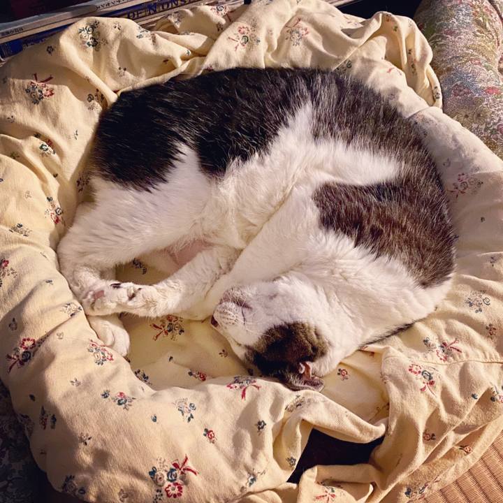 49294bcf 6923 4201 aae5 52a3a3d3c4de 1597246539593