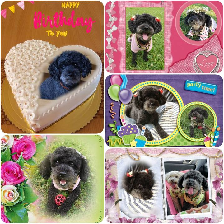 4929543c d597 4c1b 926b d5121e8175f8 1625090852950