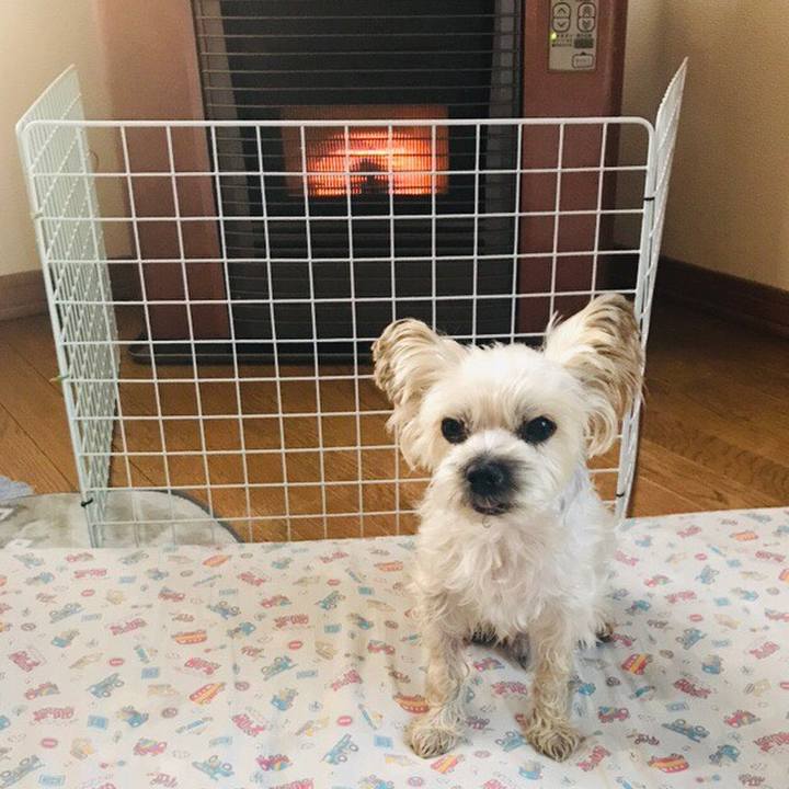 4929716c d20e 41f3 9d3e 4bc8a2f96f0f 1570706499022