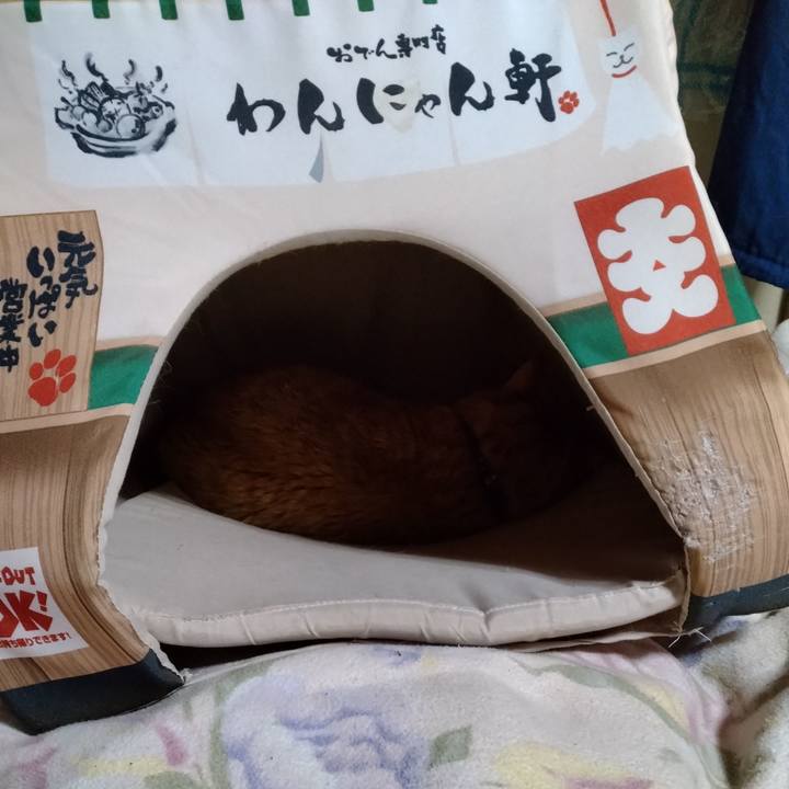 49297461 c91b 422c a557 147ce5492113 1680352558189