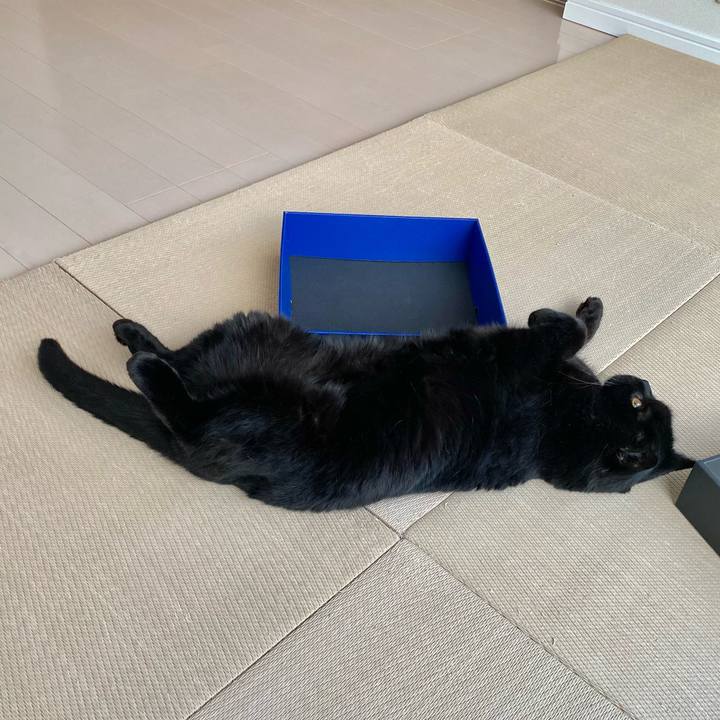 4929c31e 5662 4813 a1db 1b2a15ffe732 1655631086333