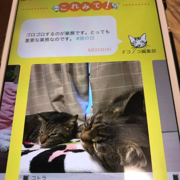 4929d98e b9f4 41f9 afbb b430a1cb7be9 1558552407995