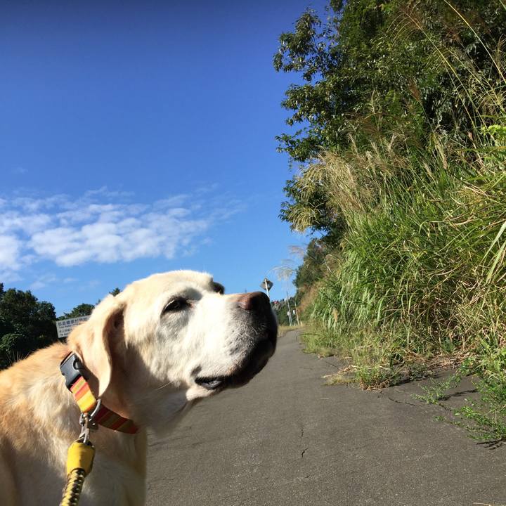 4929fd98 60de 495b b865 a4a2f9f48260 1537929261526