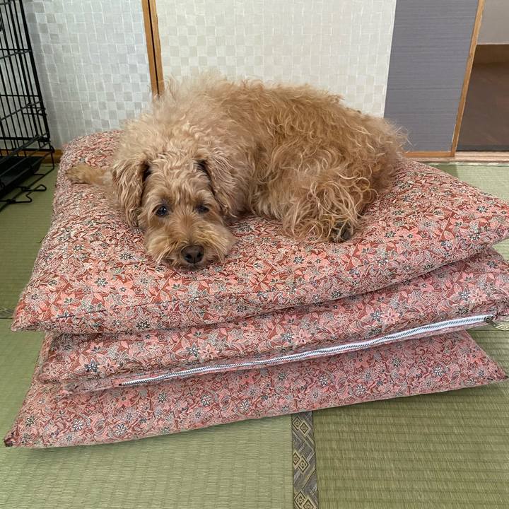 492a189b a6d1 4312 9341 9311fe240305 1657263832369