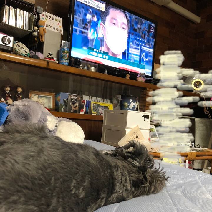 492a266a 4ca0 4668 a595 ca8ee81ffec6 1630761113595