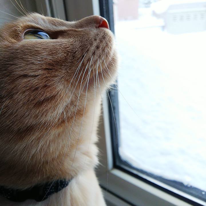 492a4200 40a1 4ec8 a31e 0fc2b032cbfa 1614937228966