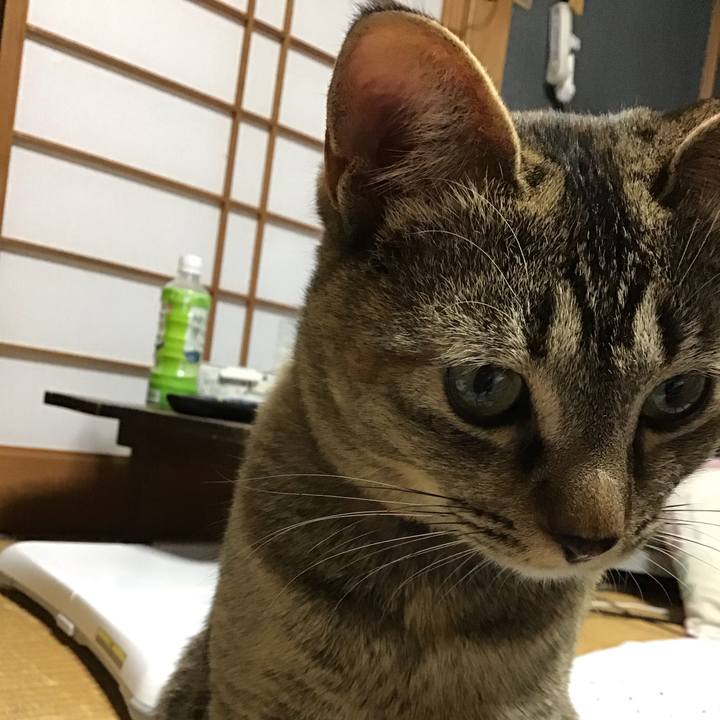 492a9baa 485d 42c8 8fb1 add41df85fb6 1582891068153