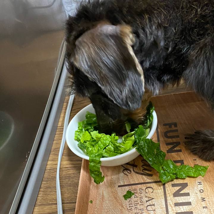 492aa000 e10e 4e2d 8da7 50c5bd11aacd 1609337126942