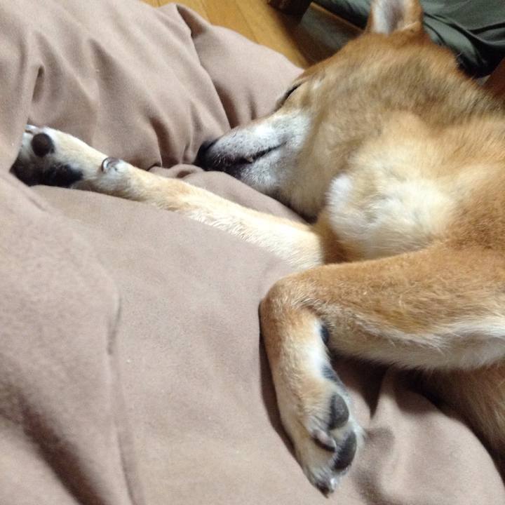 492aadfe df7b 4e05 a5cd 3c3325b3b510 1531740963706