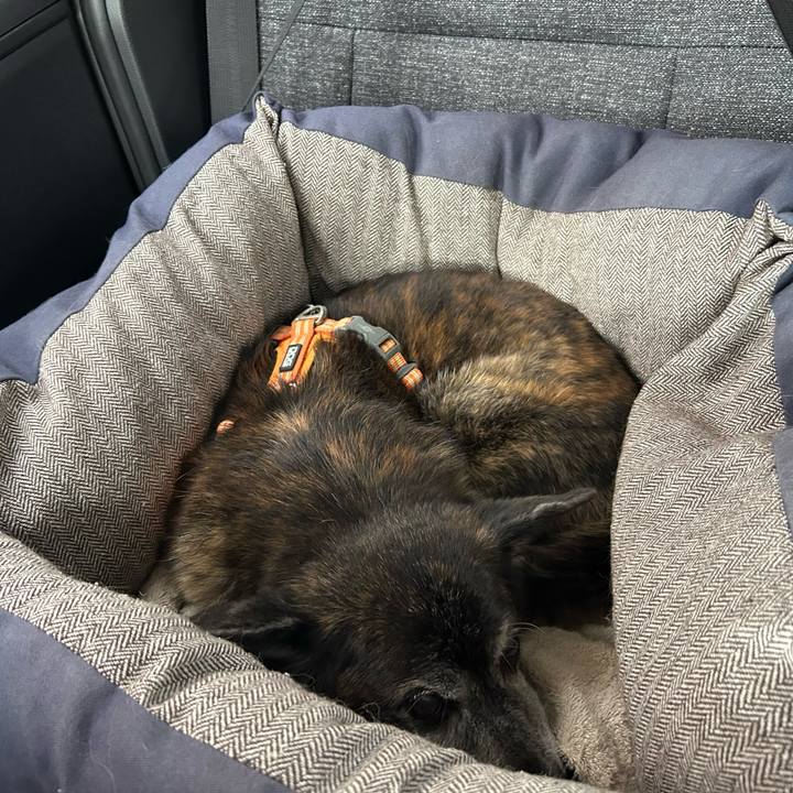 492aaec6 e695 47de b605 818b2fe0bd4c 1746998965594