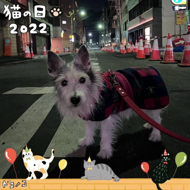 492af943 1a6a 4e0d 8281 6f7b1f5d239a 1645527067347