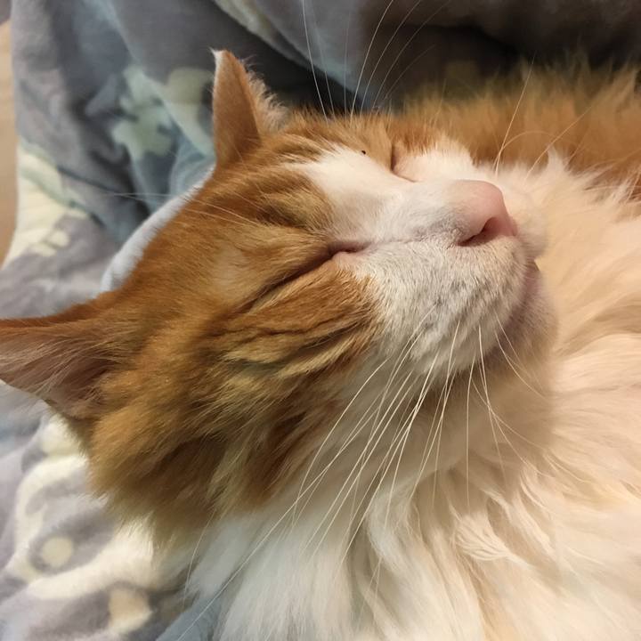 492b3031 1d70 4955 a49c b1d8a95edefb 1573825181074