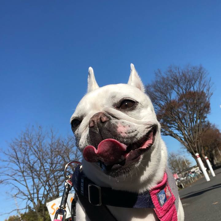 492b3141 988f 4e5f 9bad d40065fbd5d2 1606536470723