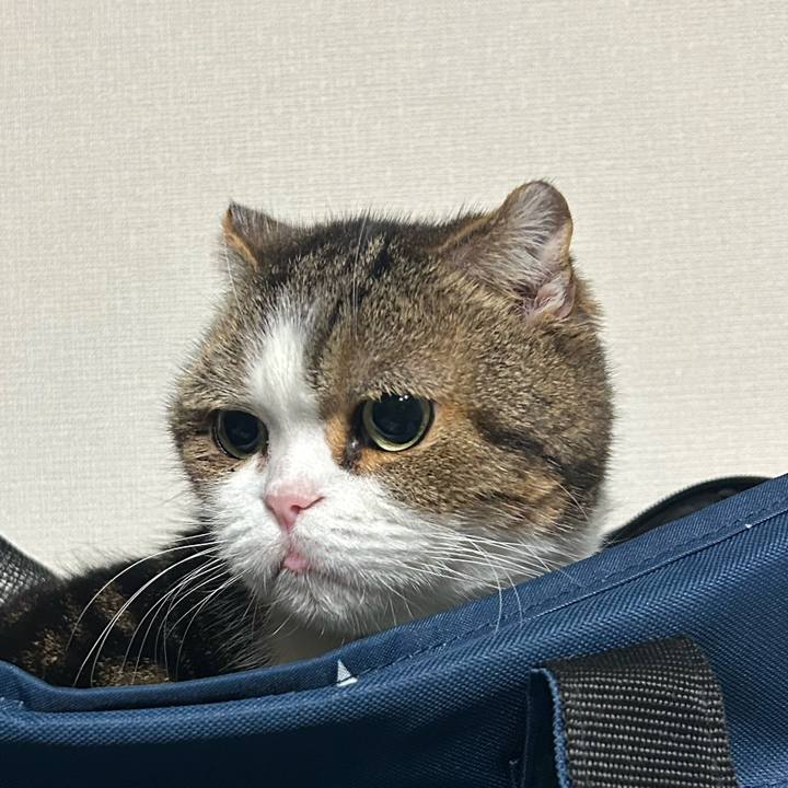 492b42a2 acc8 4342 ac59 609812d0e297 1763413820206