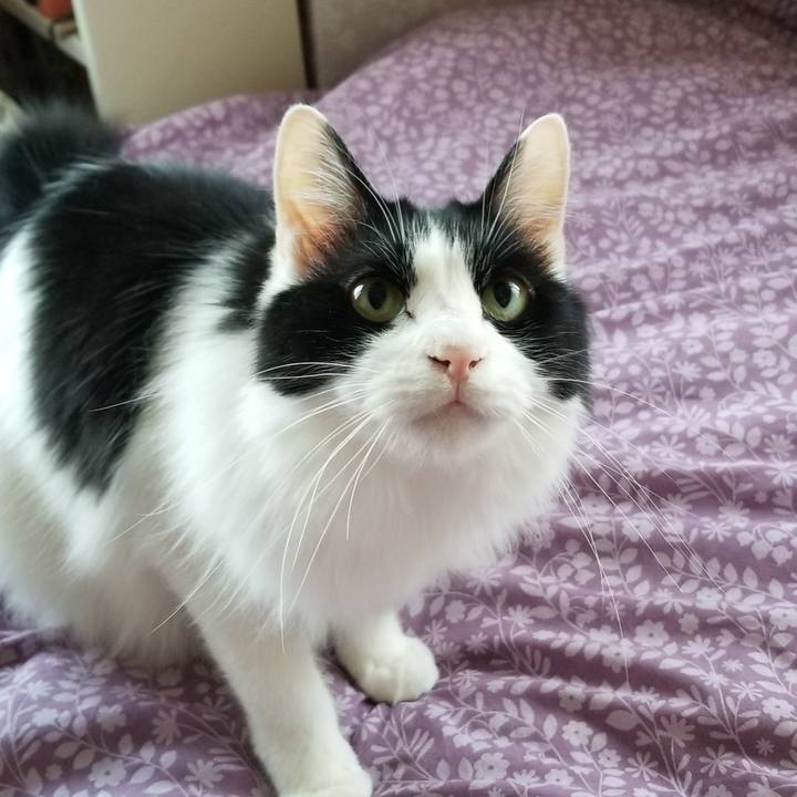 492b9beb bc72 4f83 a450 d025582787d1 1558731073763