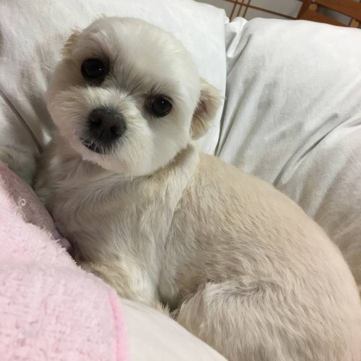 492c0cb9 407a 48c5 b29d fb25b6096bb9 1525774062245