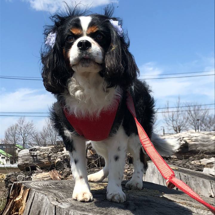 492c280b e5b3 4c30 aa9b 8abf75fa9dd6 1555918534940