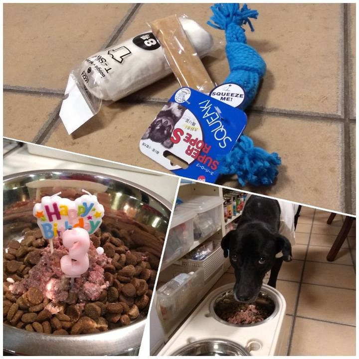 492c4a69 c188 406b a774 e5b2f1d23bf9 1617274257357