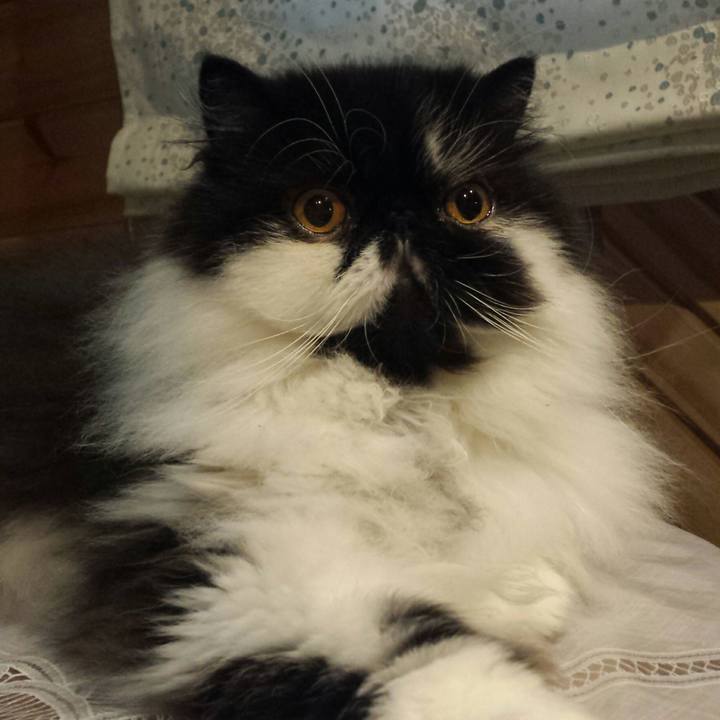 492c5cf0 cce8 4900 a85a 214f05fa3b4c 1528623064465