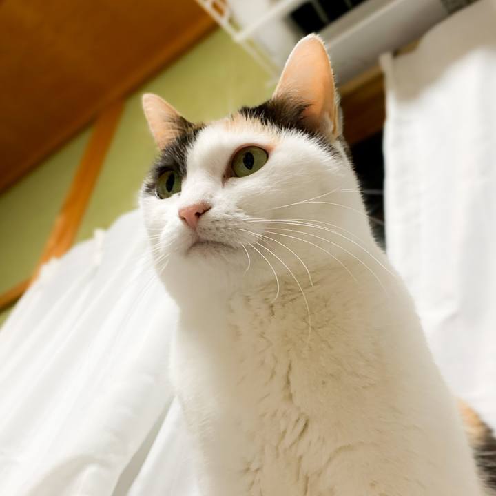 492d6046 b3fe 468e af5a 4fb31cd95960 1584410300644