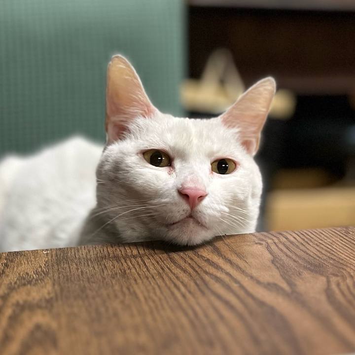 492d67fc afd6 4db6 8cae c99c1c7c040f 1768640539701