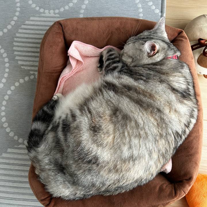 492d69c2 602f 4937 a31f 07add62b3a77 1760567336394