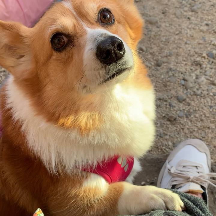 492da147 3f7a 472a 8cbe 992f3bde987c 1646900956663