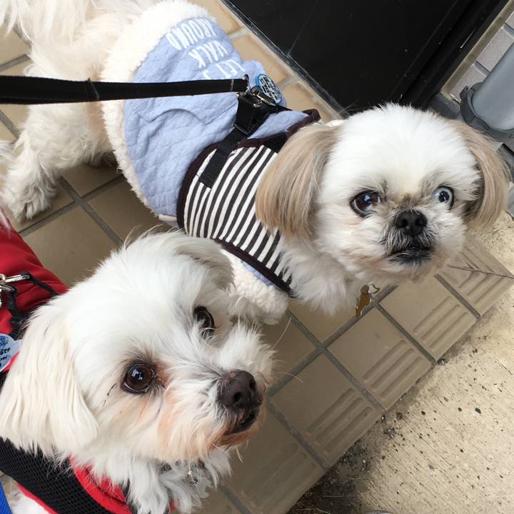 492dcdc5 f20e 42eb 91a4 c6cb07d22e46 1610342480349