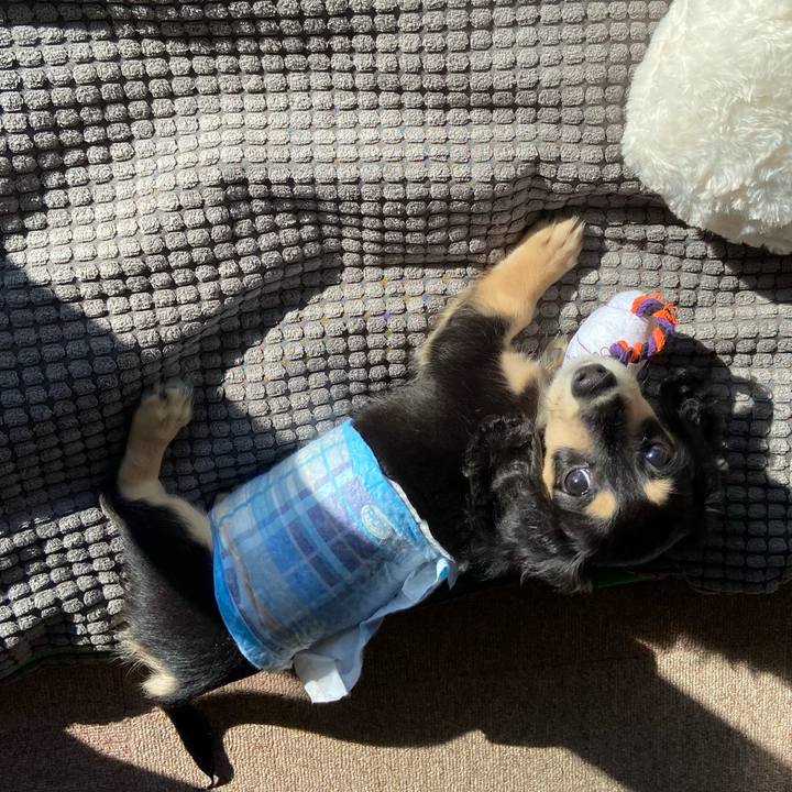 492df0ea 5141 4833 b67d b552edde225f 1666740317246