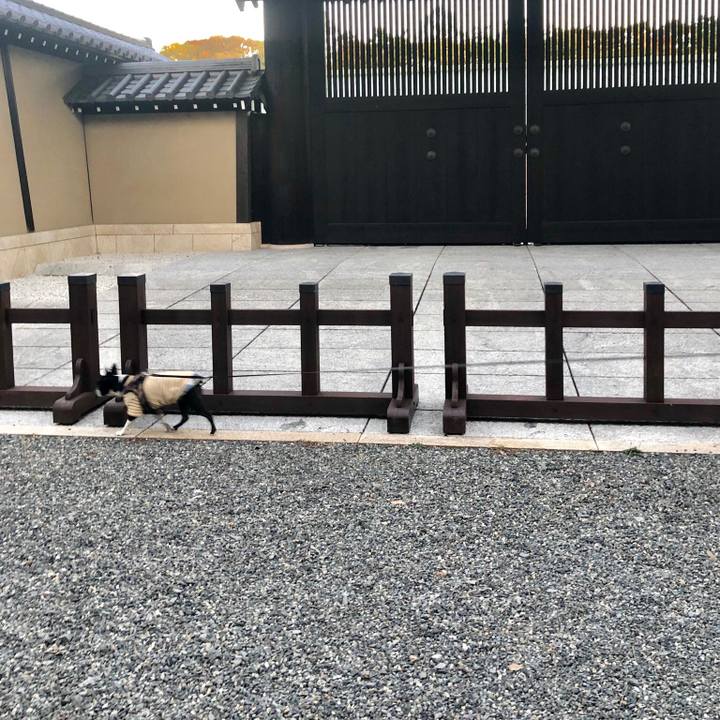 492df1e2 7bb4 413d a037 f93a88c2b941 1543026604271