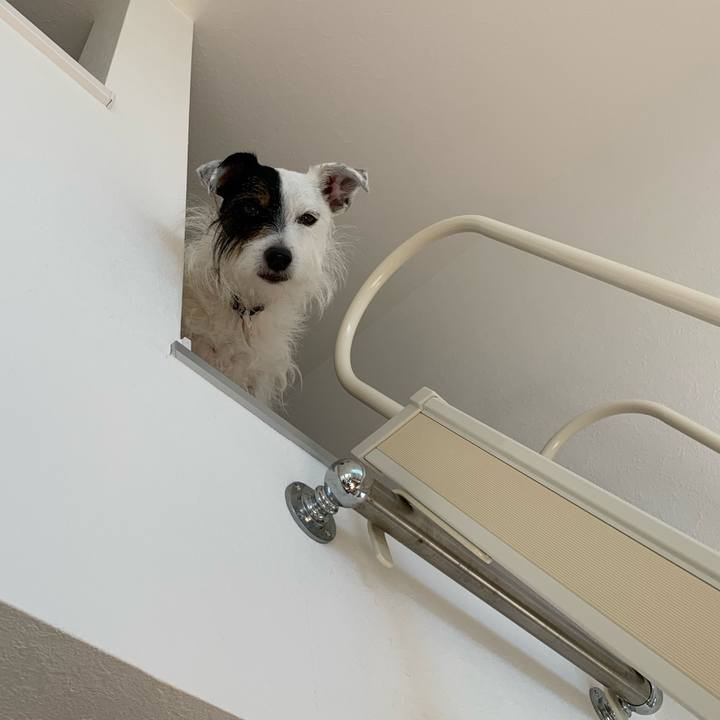 492e2a76 1953 4746 b720 eae6a0ee59a9 1628574304769