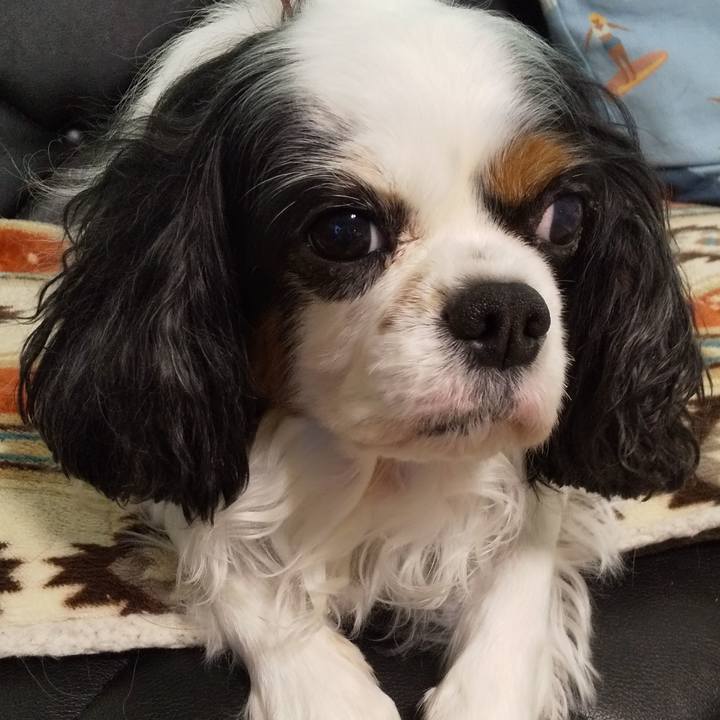 492e4887 eb03 4efc 8d57 cf7c6bf45699 1641162768447