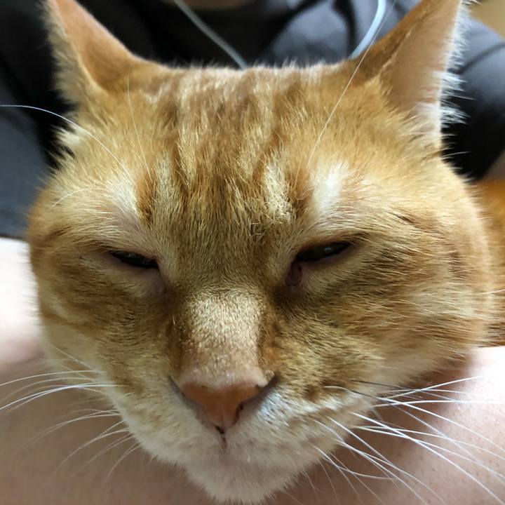 492e4c2e 1694 4158 8ad0 66ad5095626d 1653910676452