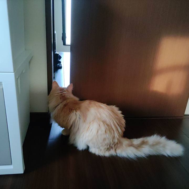 492e5200 58a8 42d9 b337 aa583cd856ac 1656675474305