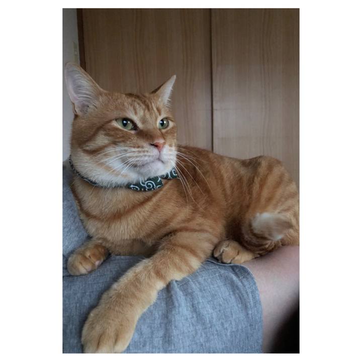 492eb438 8e68 4214 8d89 d11b27cc6b63 1585559660261