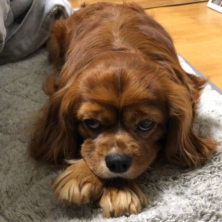 492ec699 c455 439b 81fa 05fc5a235bba 1620771702868