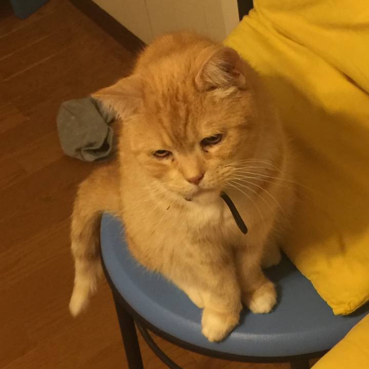 492f5f07 4a0d 455f b689 b1a02c4c8458 1556119696449