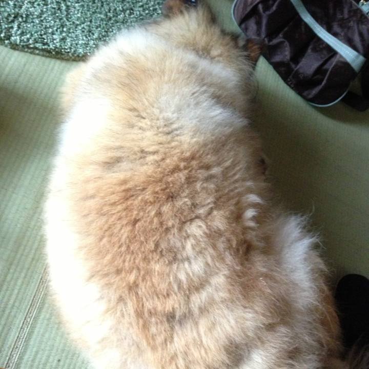 492f9641 5964 4acf 98c2 508c34d5df6a 1593986411847