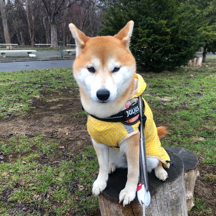 492f97fa 5da0 48c5 882d c0f27a166947 1555296845049