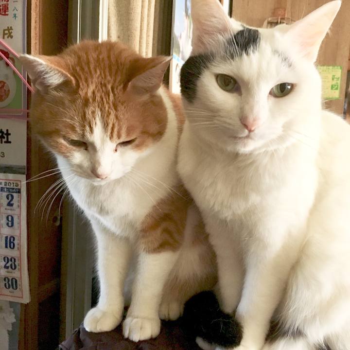 492fcfdf ef20 4c5f 81ac 9cef284b8657 1555019722769