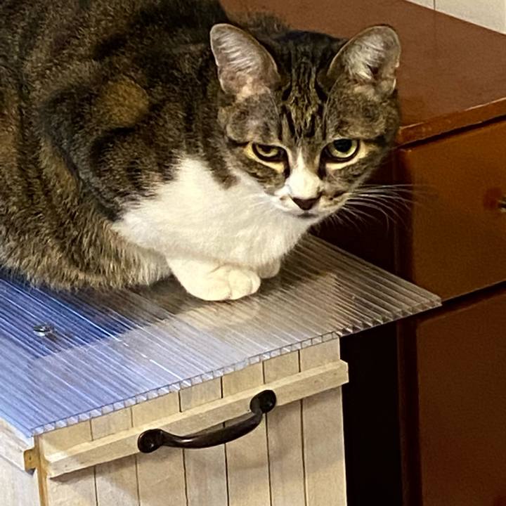 492feabc 911d 4993 8a82 45c4e7ae539e 1634763385248